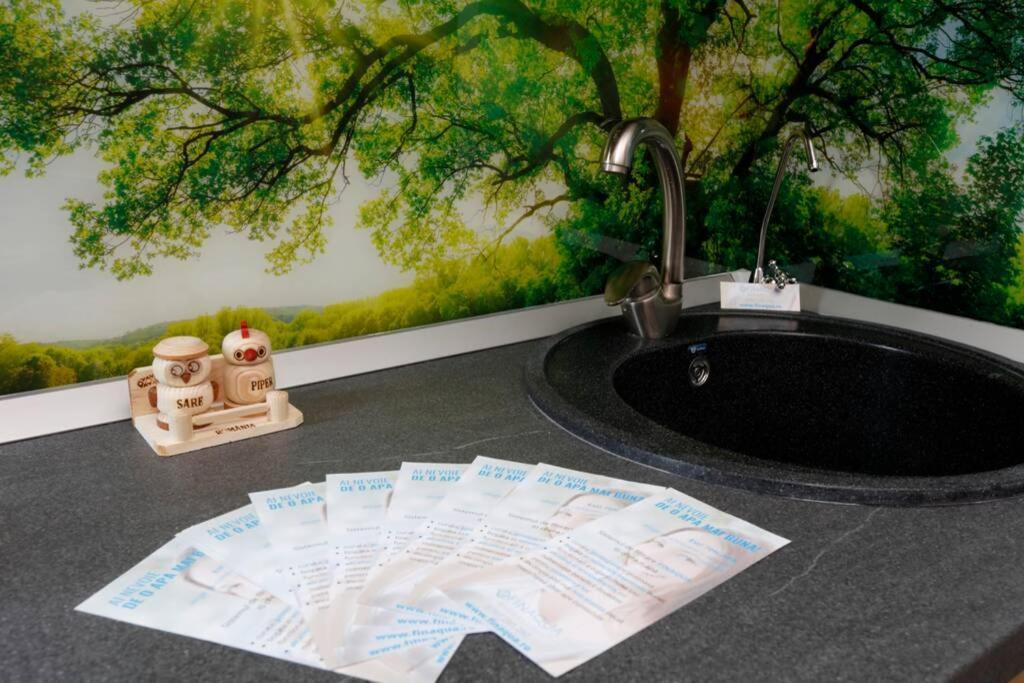 Apartament La Copac Cozy Bucureşti