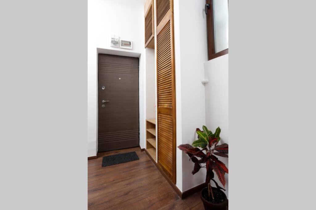 Apartament La Copac Cozy